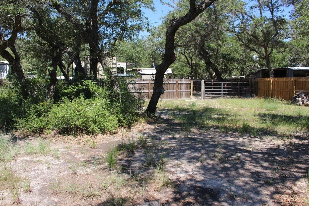Picture 33