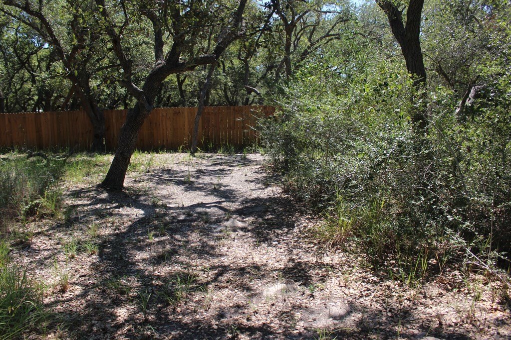 Picture 34