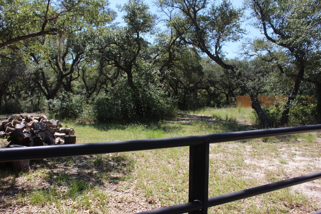 Picture 31
