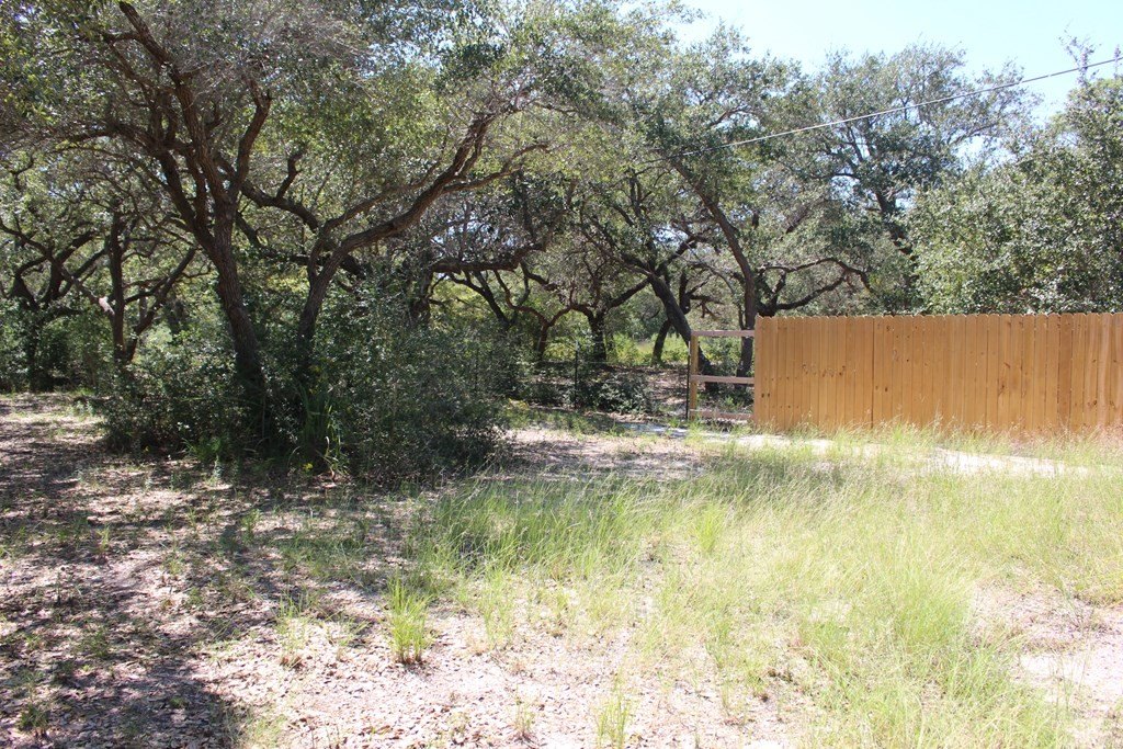 Picture 36