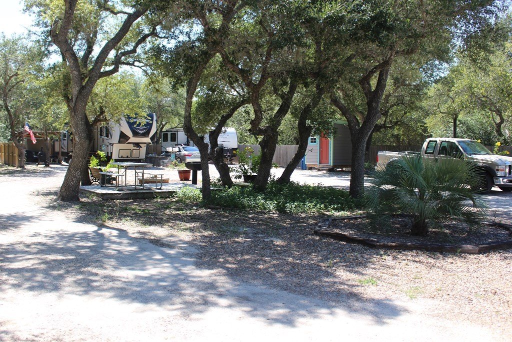 Picture 28
