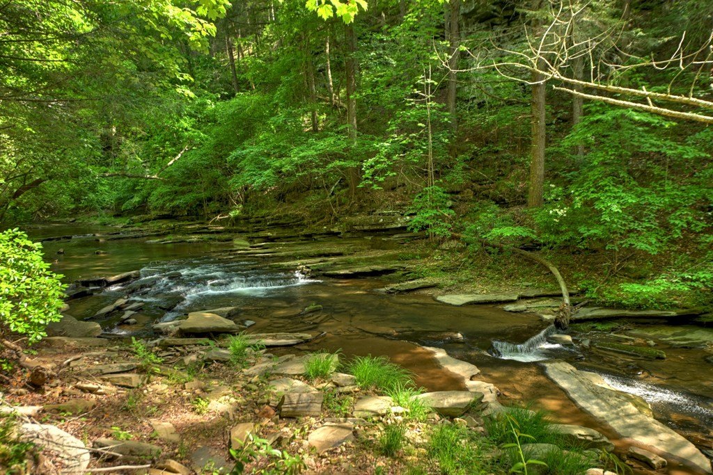 Picture 30