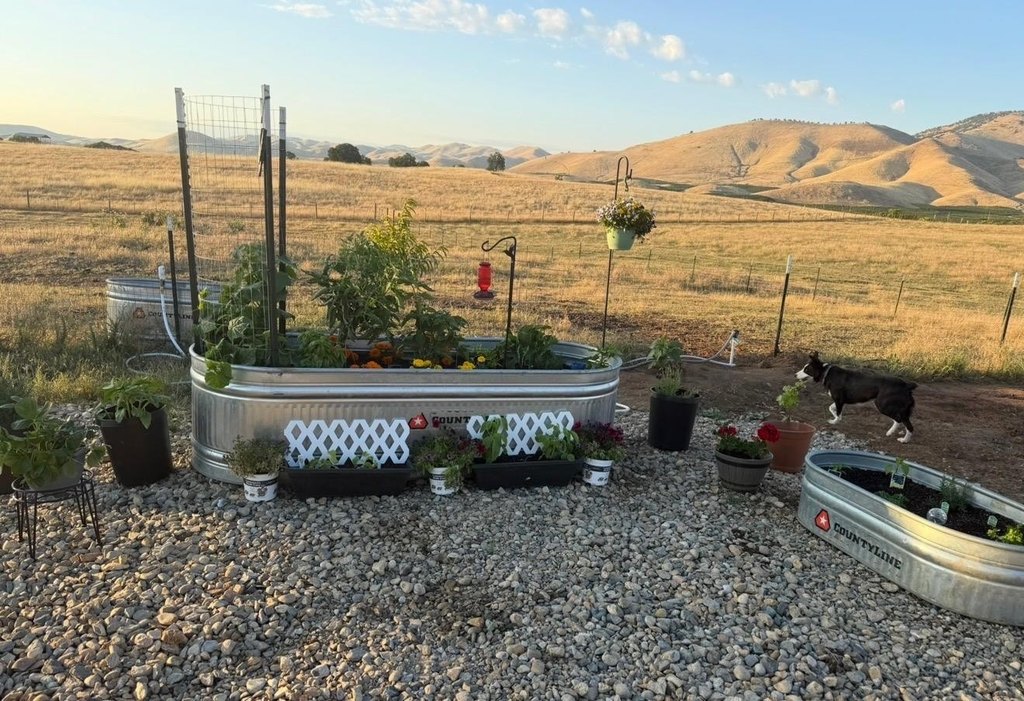 Picture 18