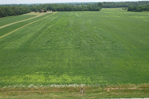 Land in Indian Lake School