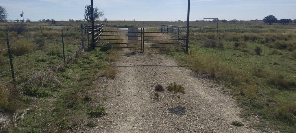 Picture 9