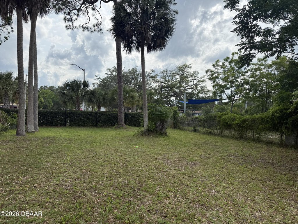 Picture 4