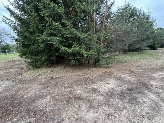 Picture 8