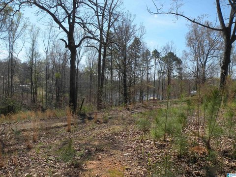 LAND - SYLACAUGA, AL