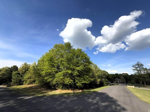 Residential Land in Piperton, TN