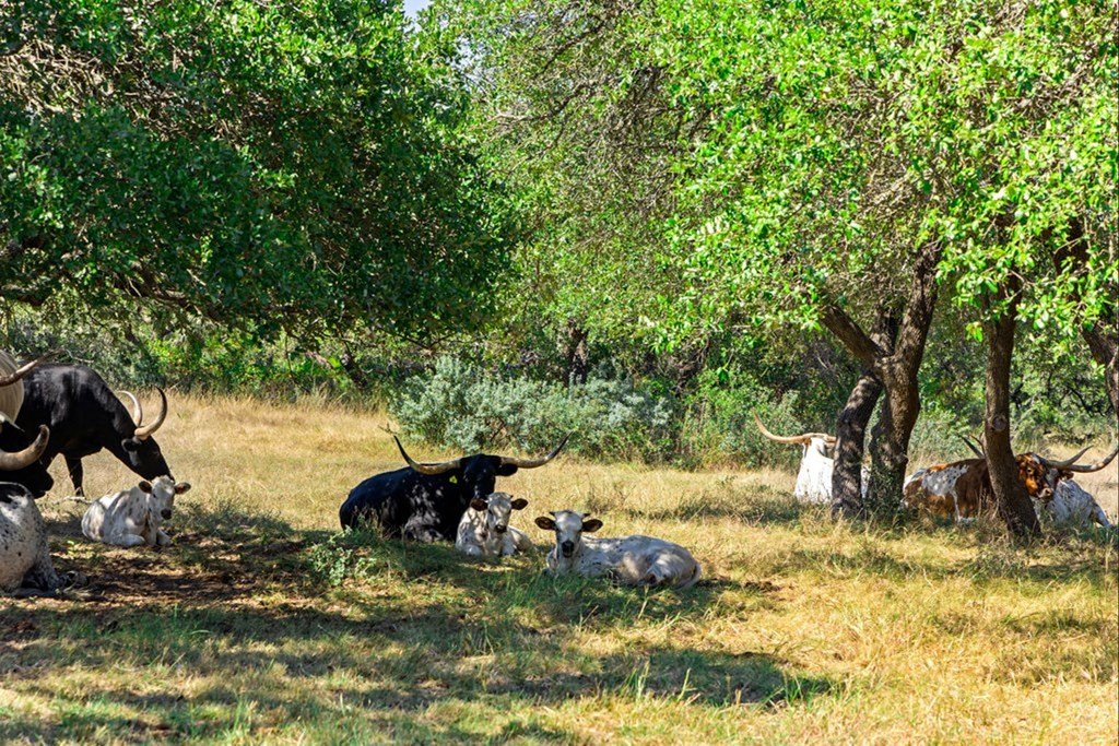 Picture 29