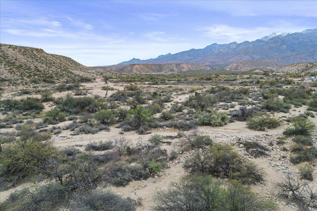 Picture 7