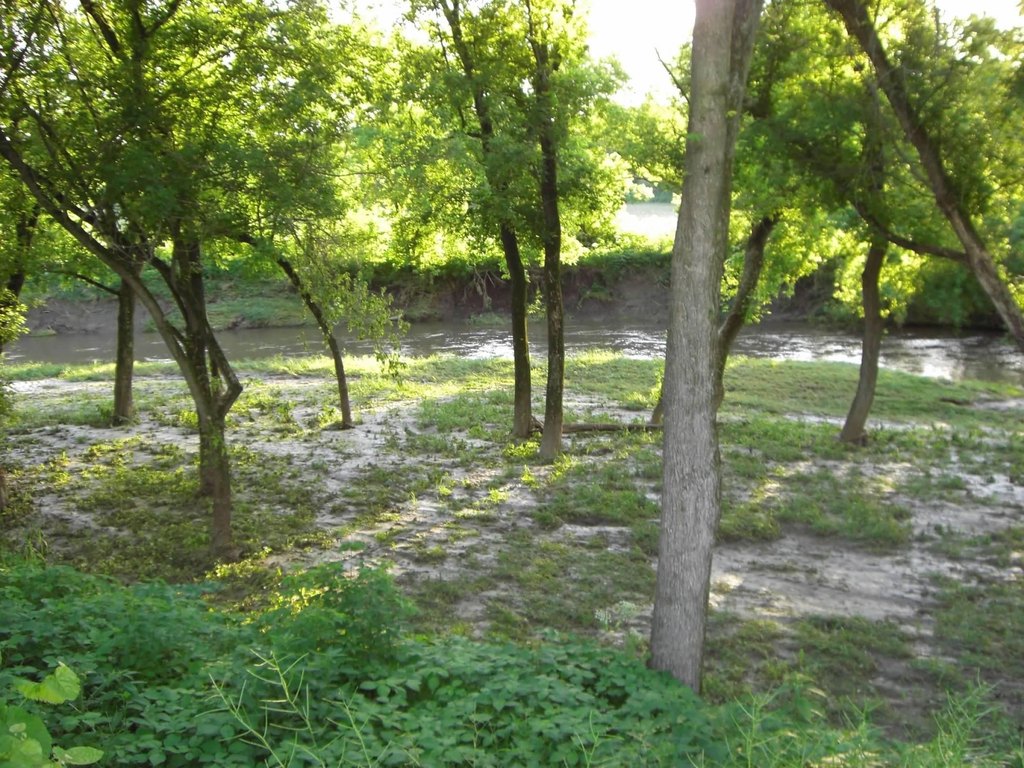 Picture 14