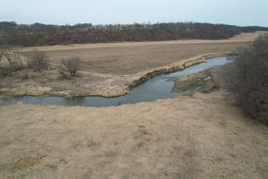 Picture 17