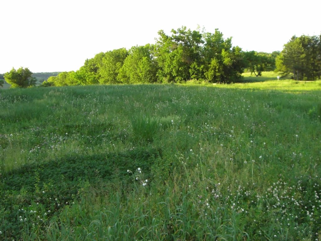 Picture 13