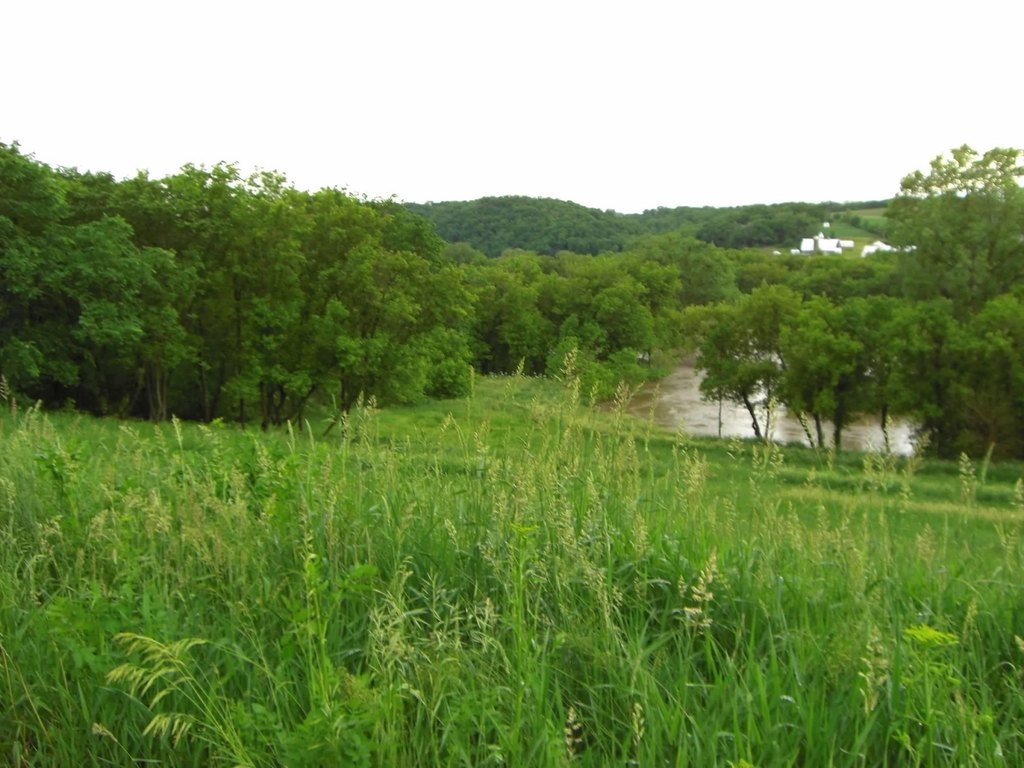 Picture 16