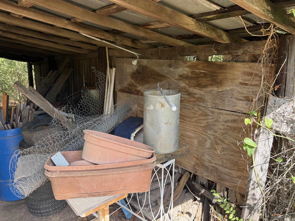 Picture 23