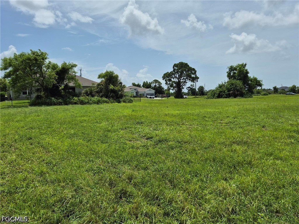 Picture 17