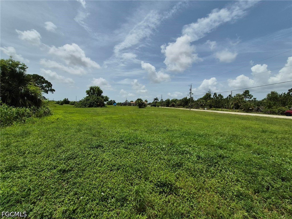 Picture 14