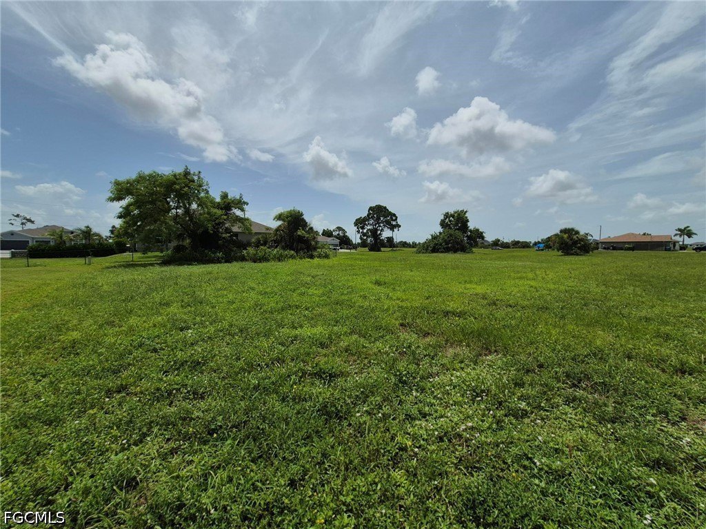 Picture 15