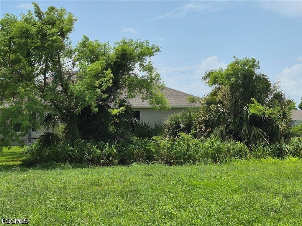 Picture 16
