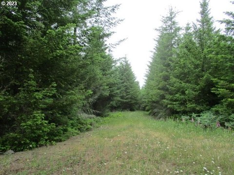 Estacada Land with Timber