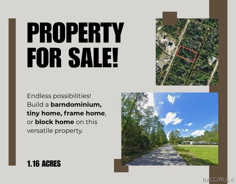 Crystal River Vacant Lot