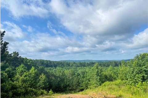 Land, Hochatown, OK