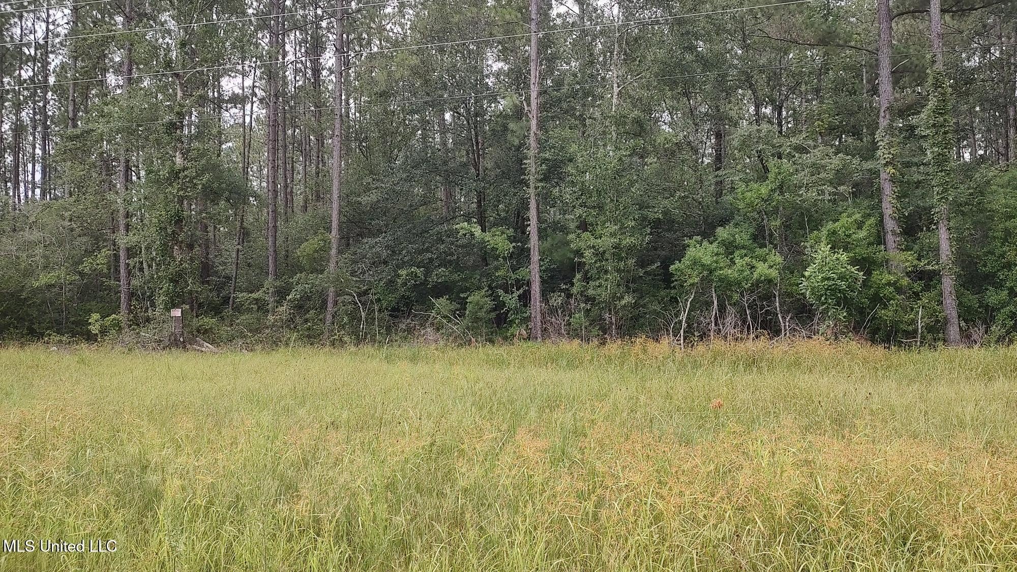 Picayune Land on Hwy 43
