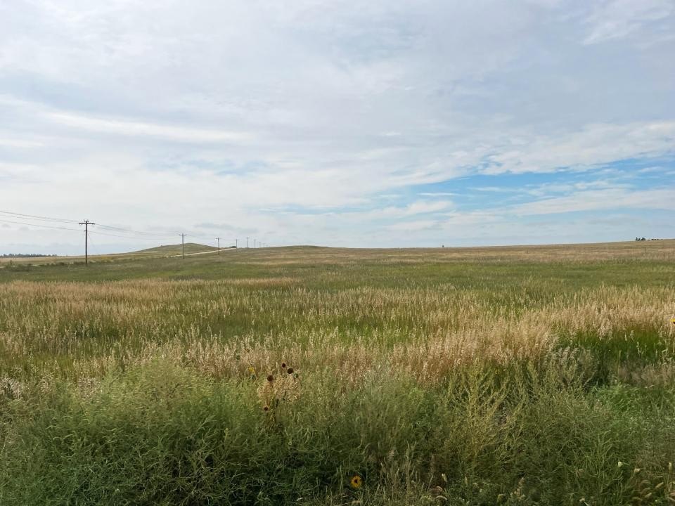 Cheyenne County Farmland with CRP