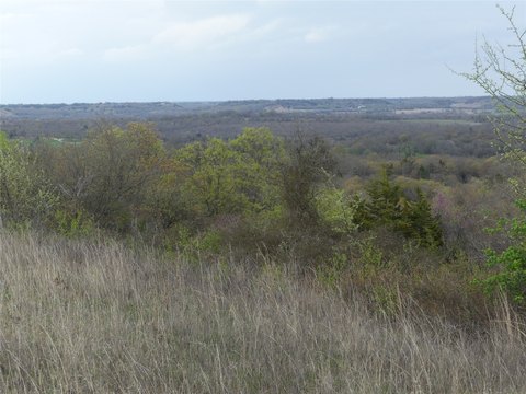 Recreational Hunting Land with Pond