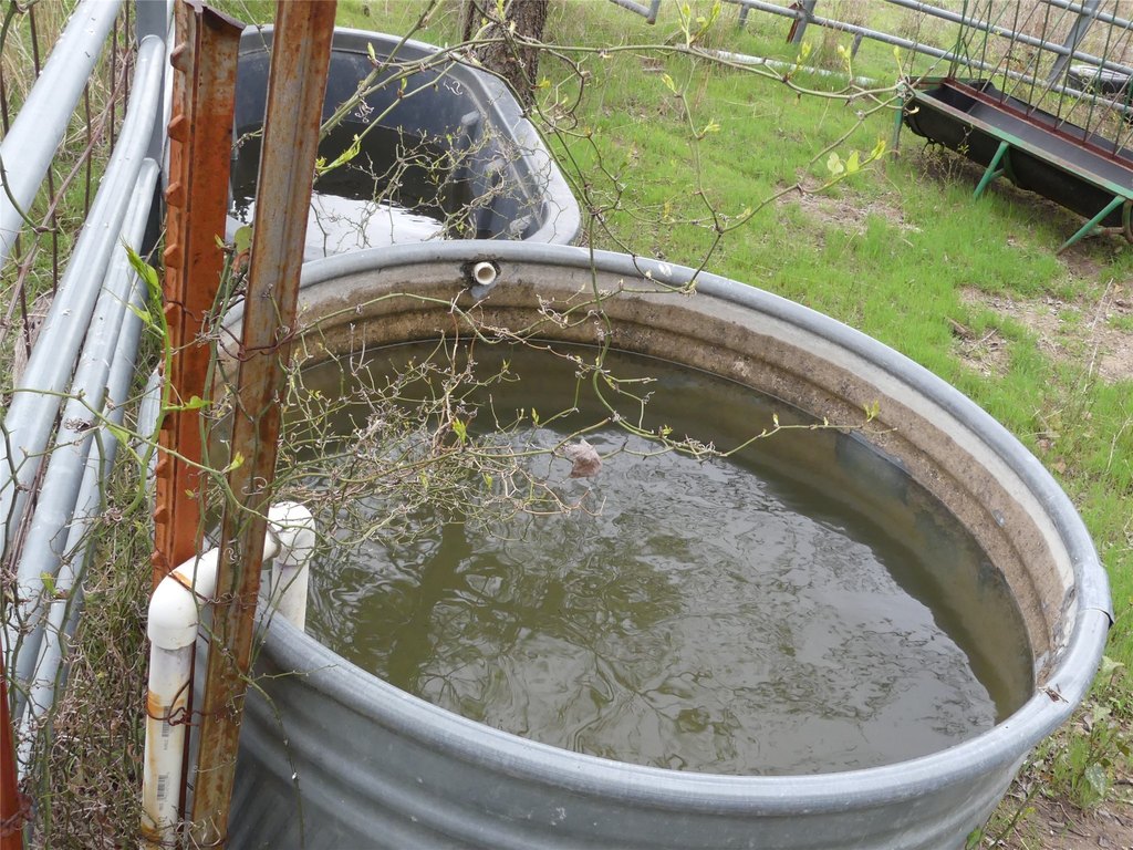 Picture 23