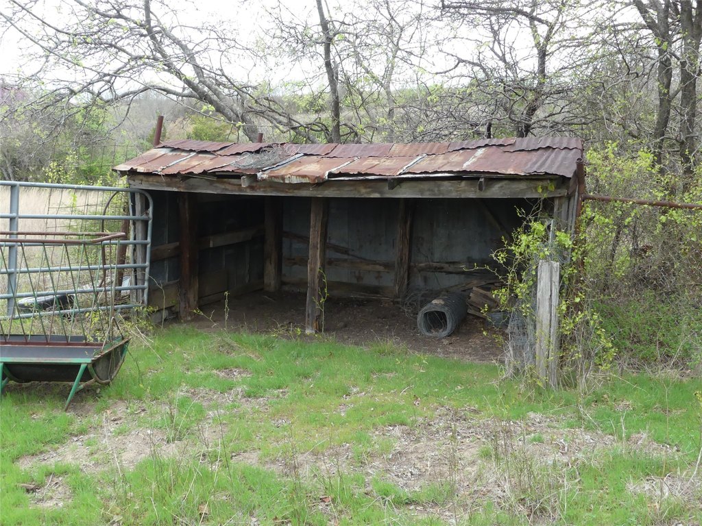 Picture 25