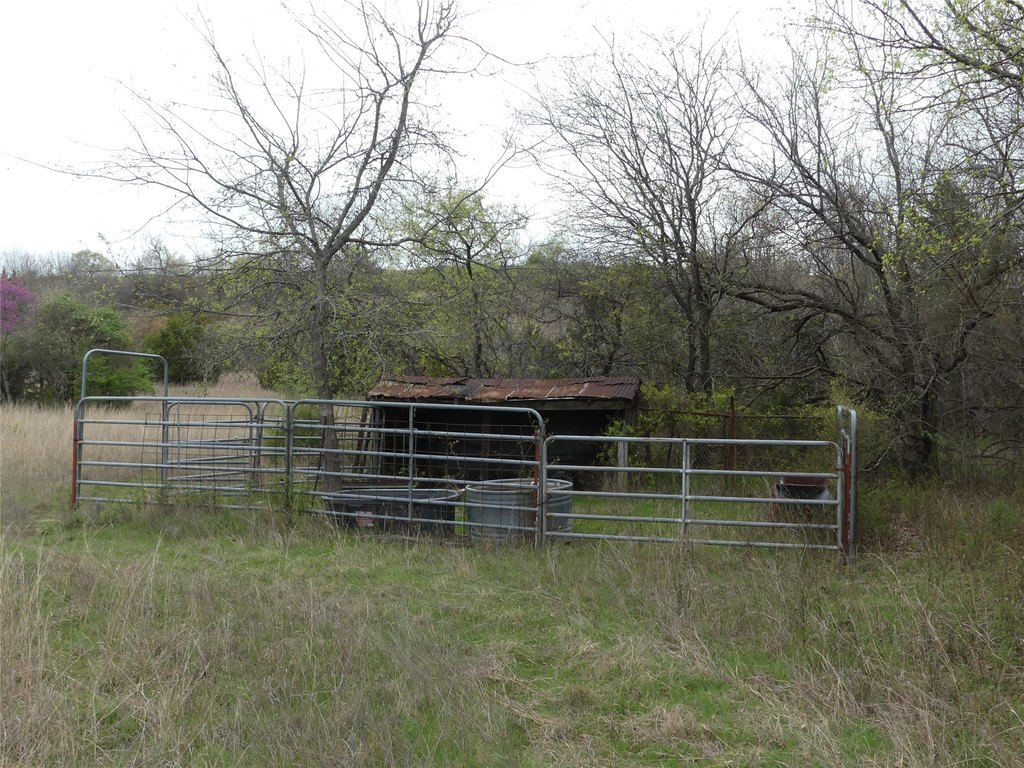 Picture 24