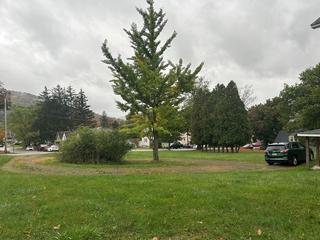 Picture 31