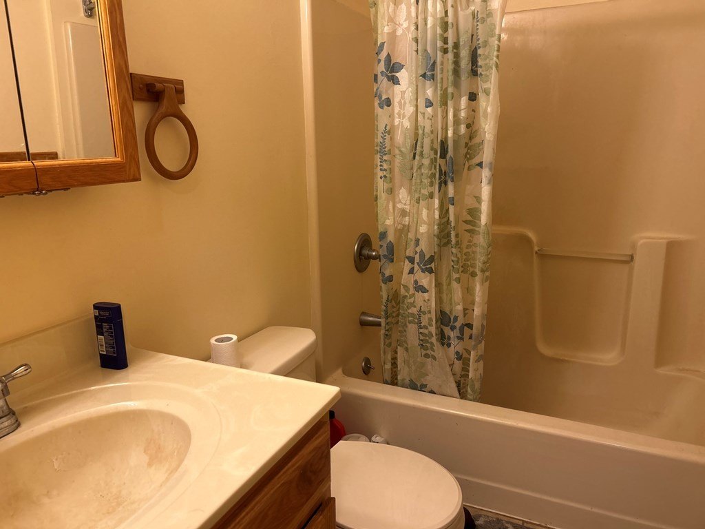 Picture 16