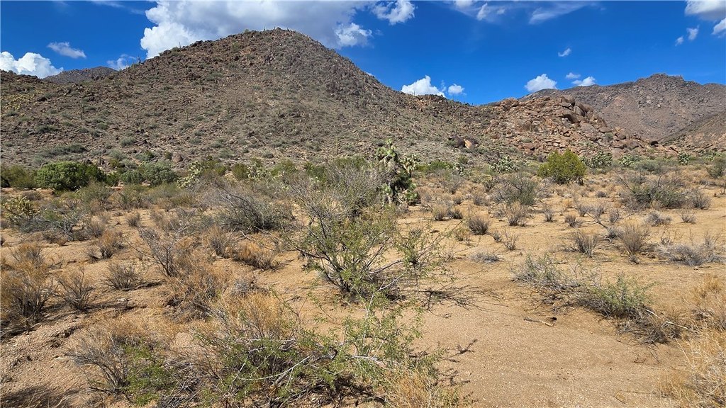 Picture 23