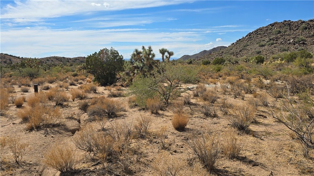 Picture 19
