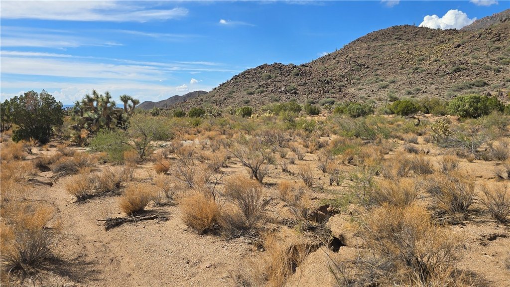 Picture 20