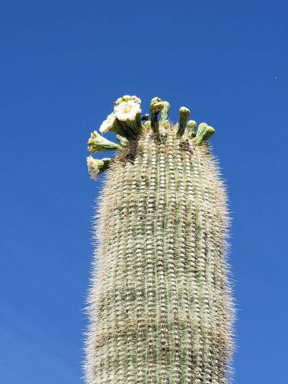 Picture 15