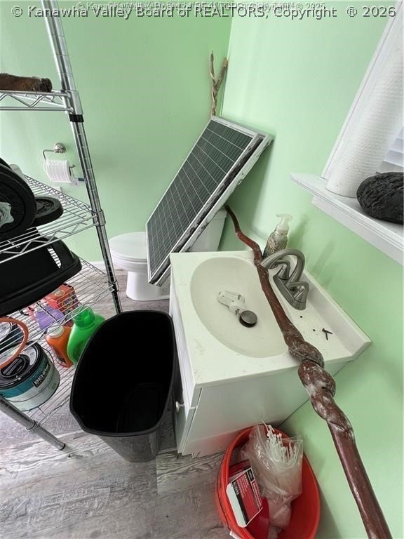 Picture 16