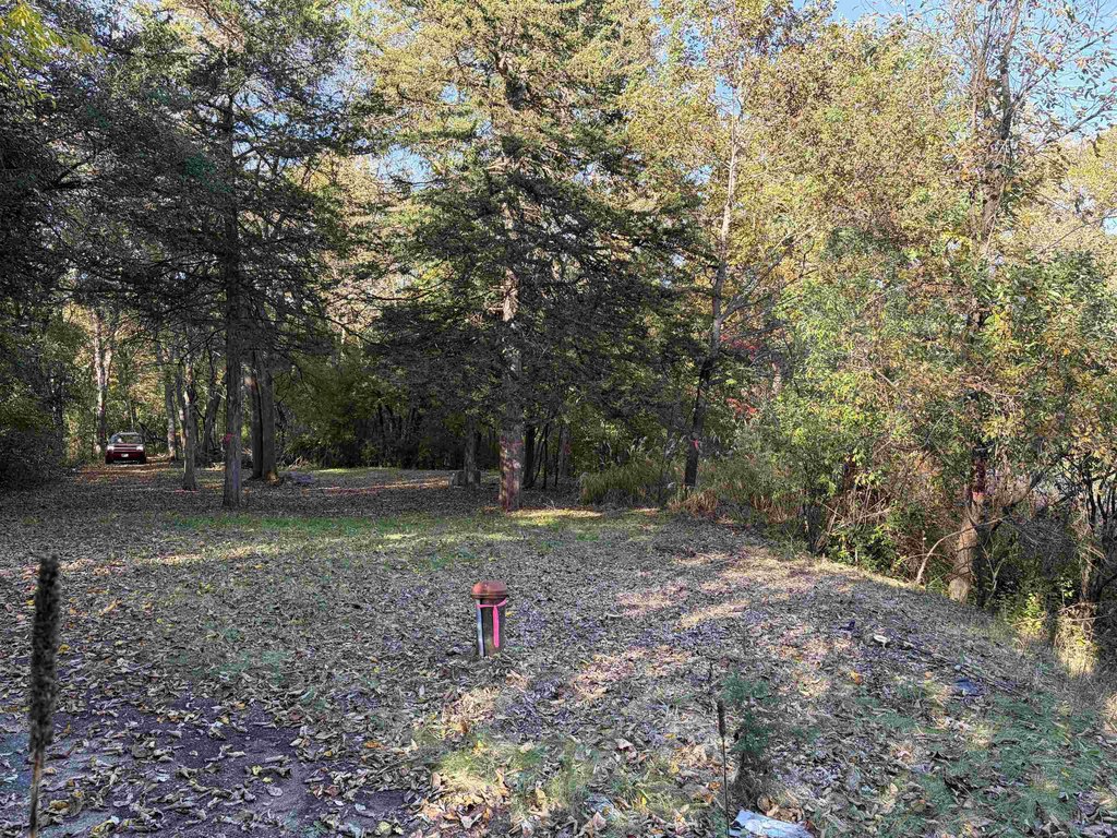 Picture 15