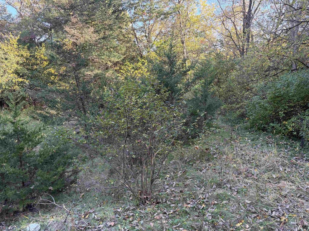 Picture 12