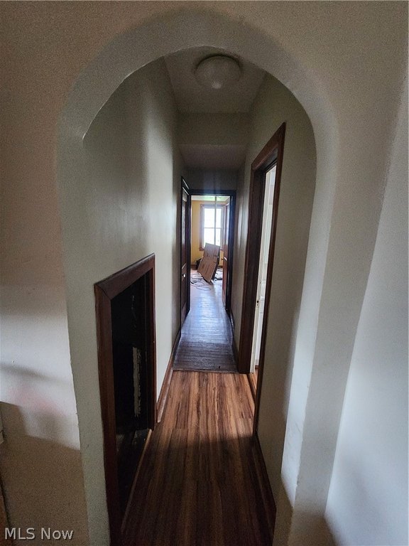 Picture 19