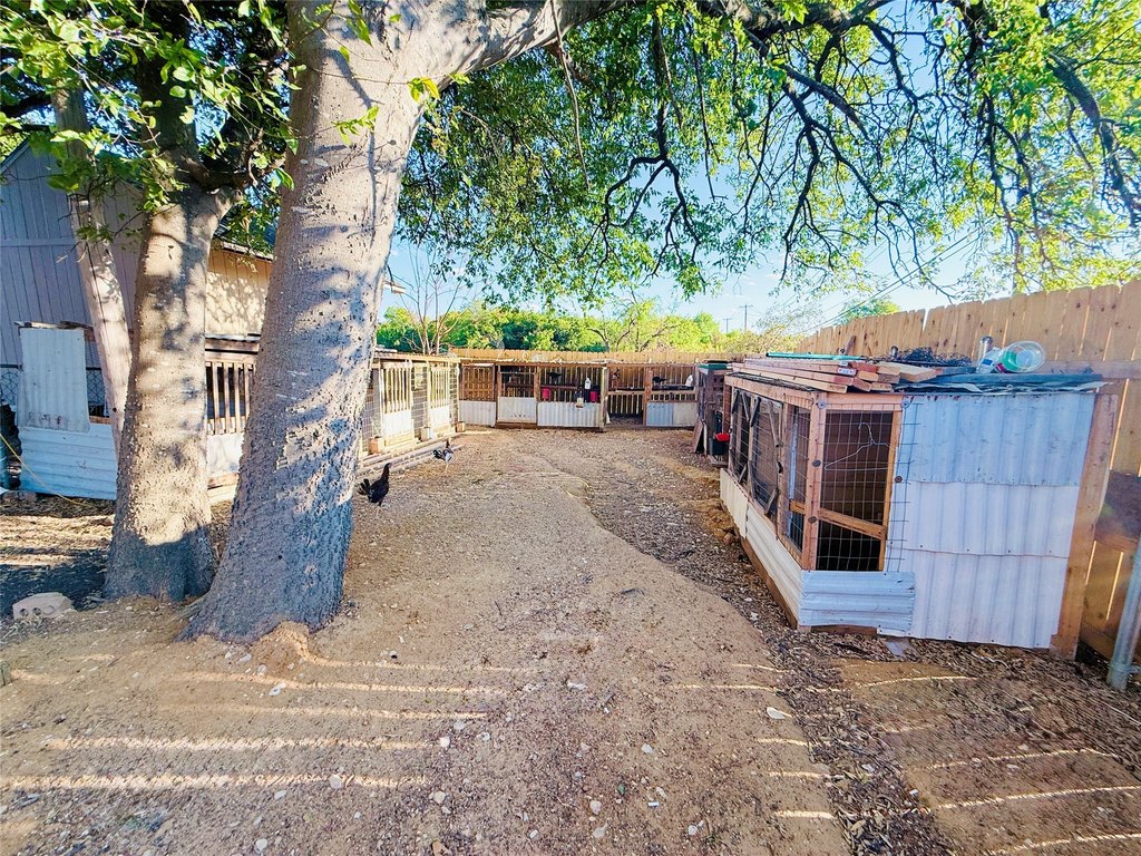 Picture 9