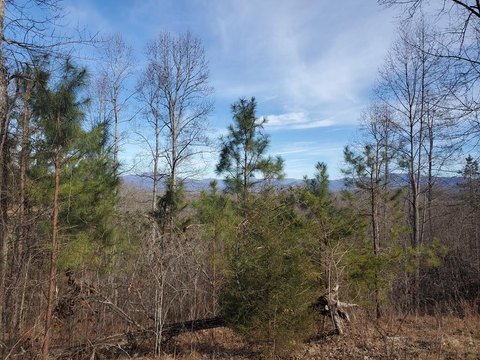 Gated Community Mountain View Lot