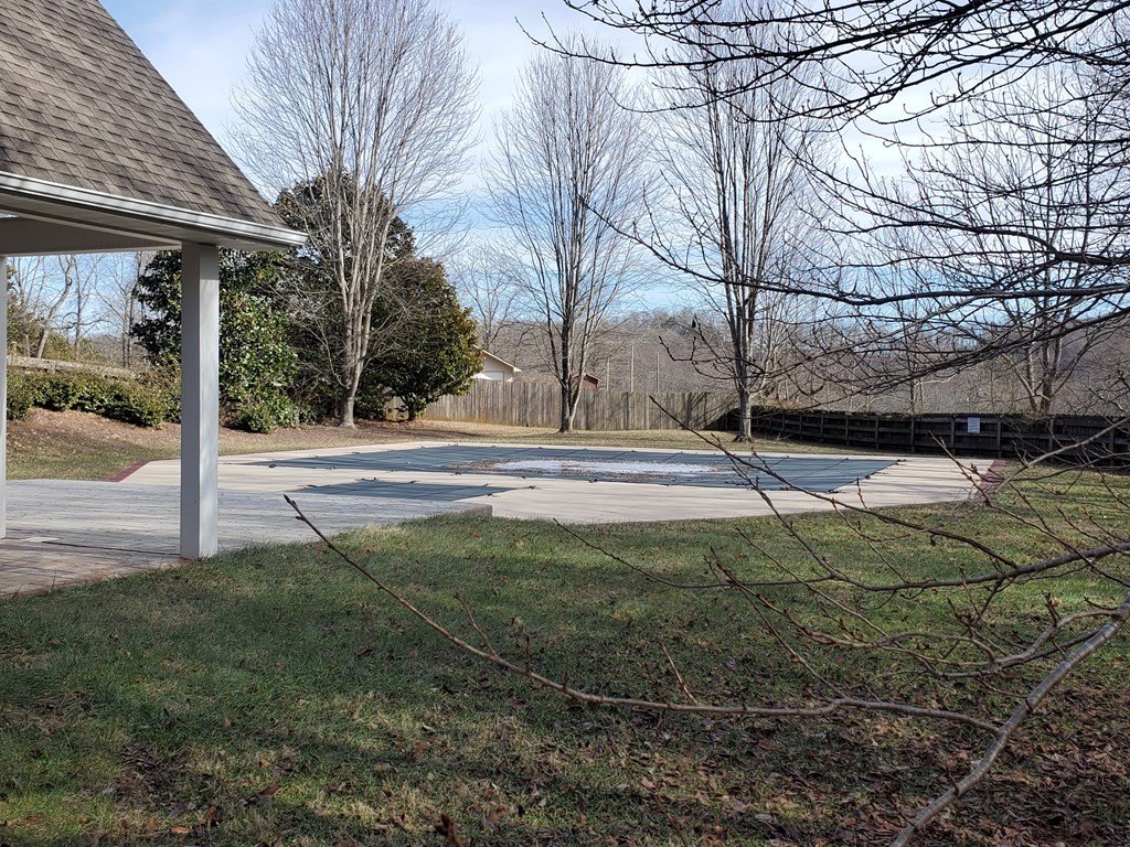 Picture 8