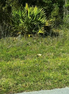 Land, OCALA, FL