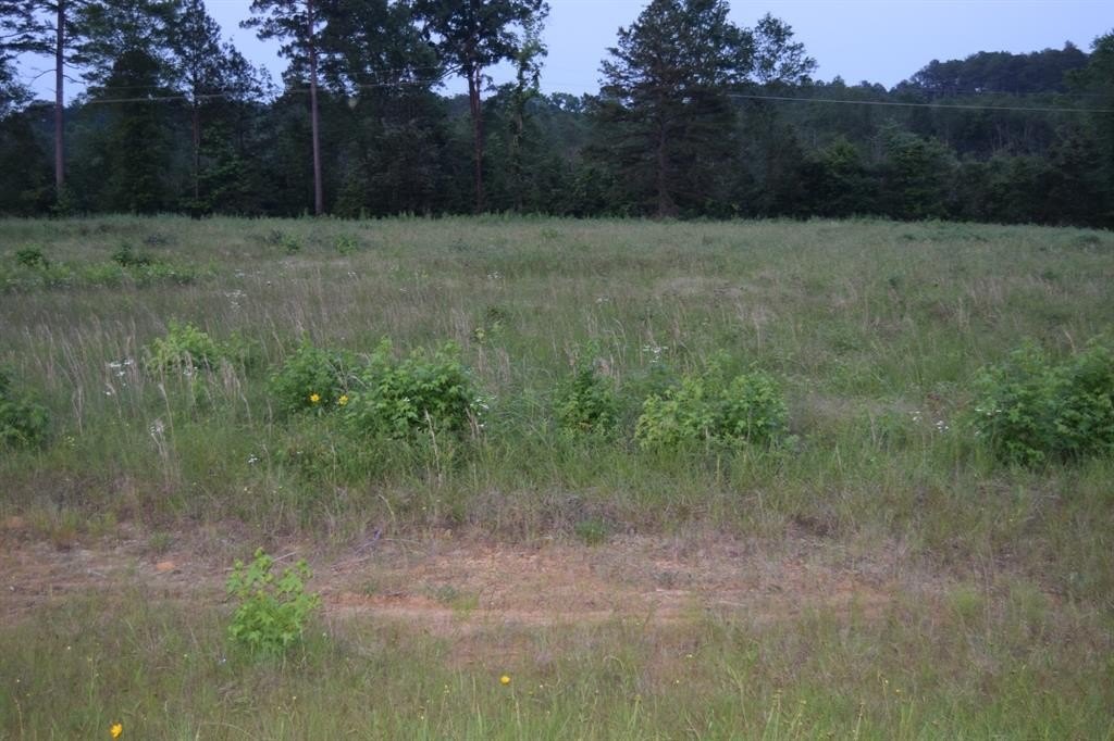 Level Lot Near I-20