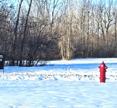 Saginaw Vacant Commercial Land
