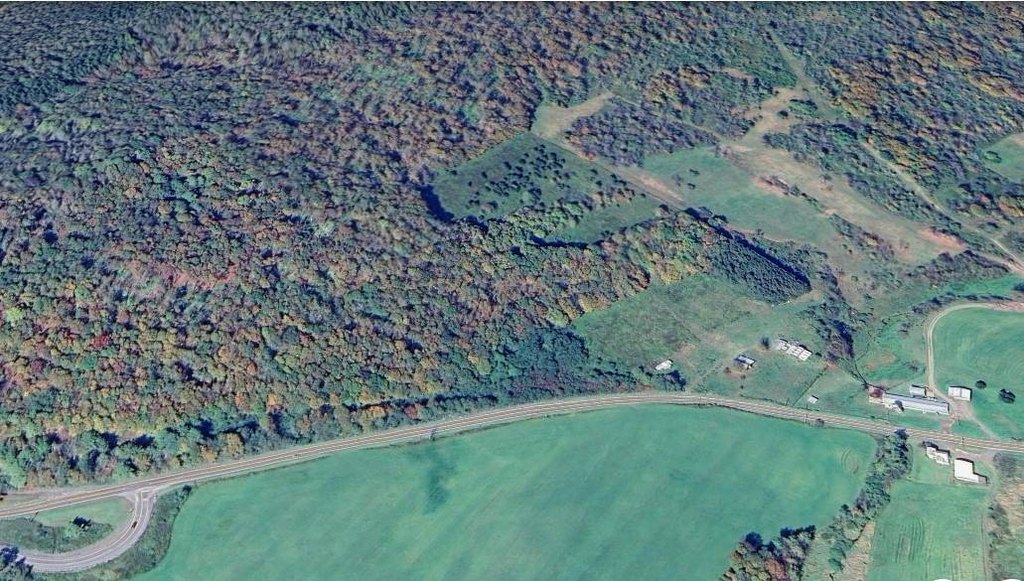 Picture 17